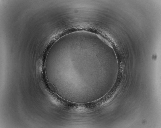 X0000099420589200805091245