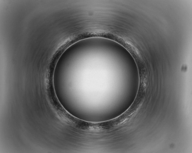 X0000099420591200805091245