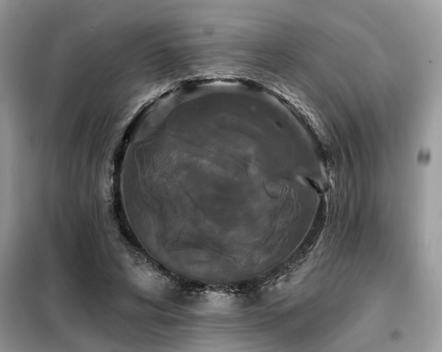 X0000099420592200805091245