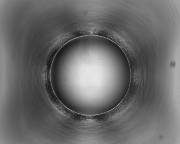 X0000099420594200805091245