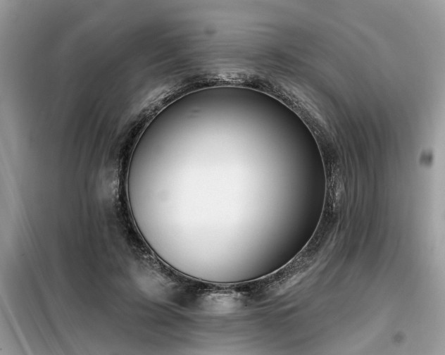 X0000099420595200805091245