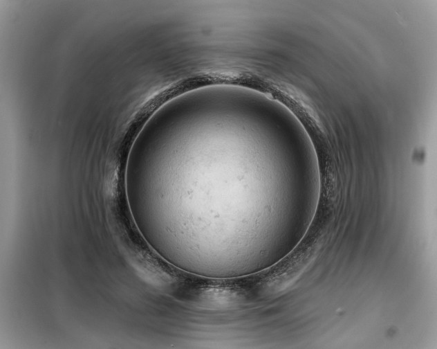 X0000099420596200805091245
