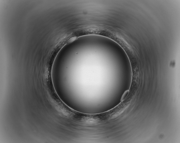 X0000099420597200805091245