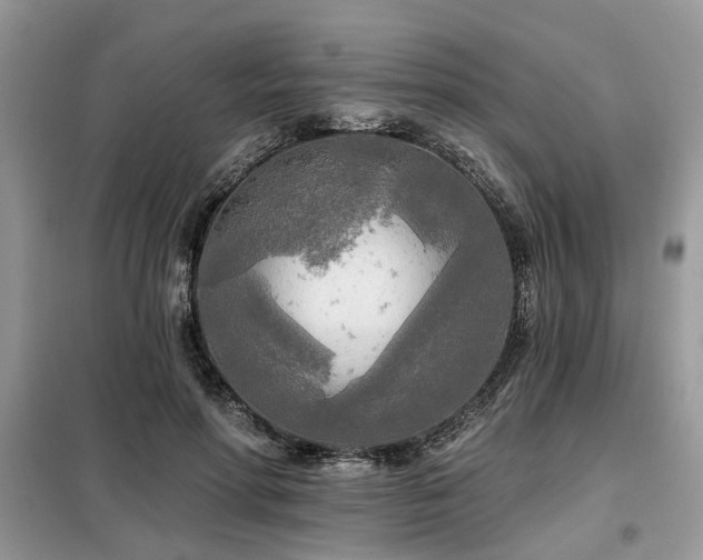 X0000099420598200805091245