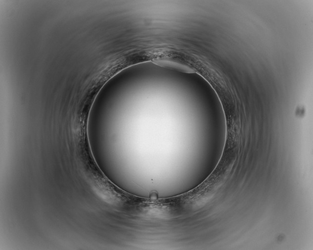 X0000099420601200805091244