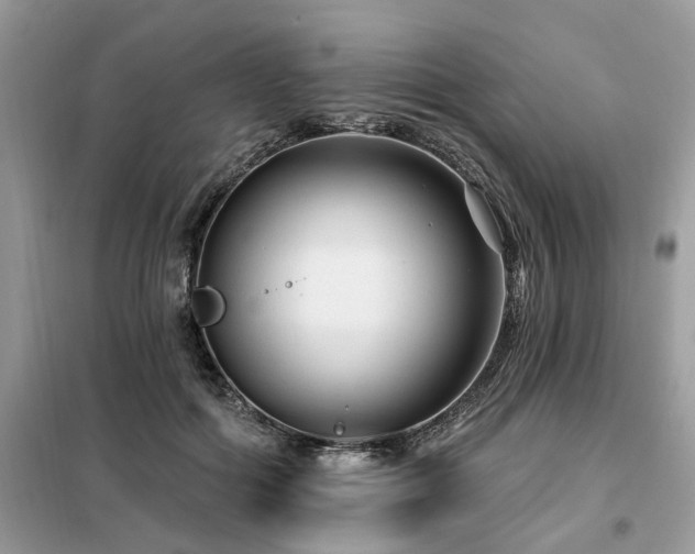 X0000099420602200805091244