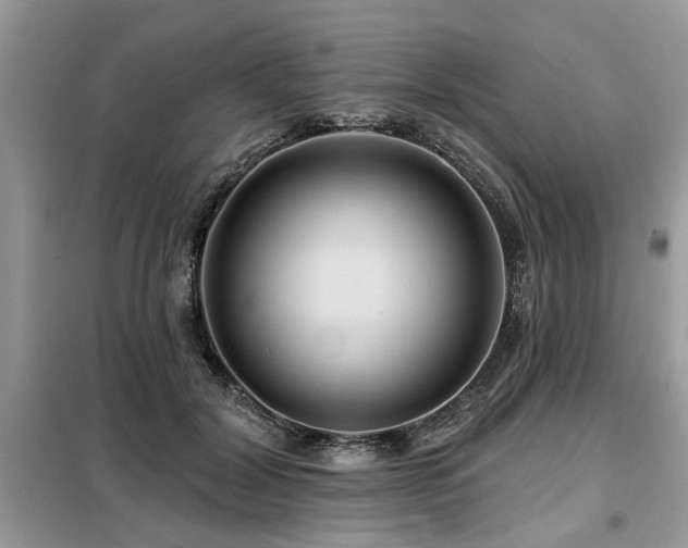 X0000099420604200805091244
