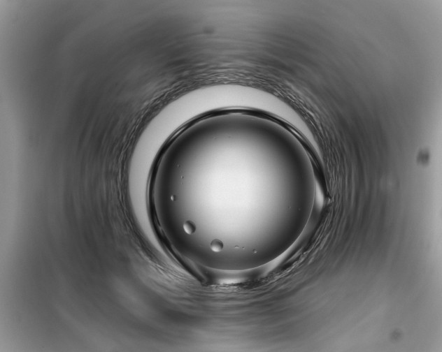 X0000099420605200805091244