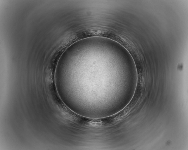 X0000099420606200805091244