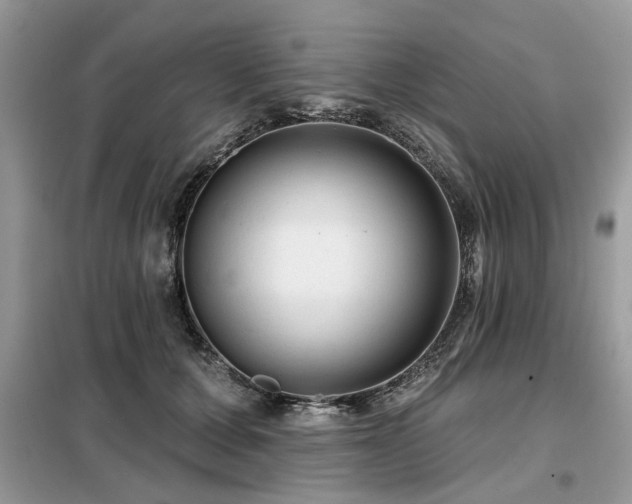 X0000099420607200805091244