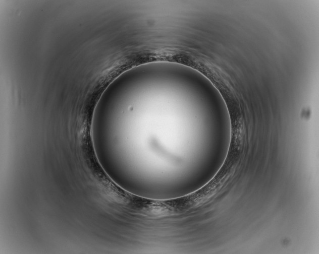 X0000099420608200805091244