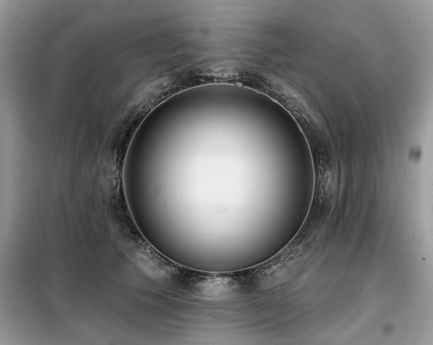 X0000099420609200805091244