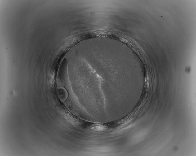 X0000099420610200805091244