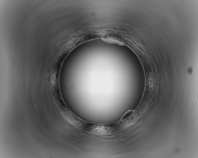 X0000099420611200805091244