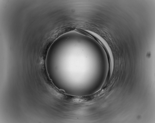 X0000099420614200805091244