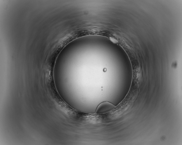 X0000099420615200805091244