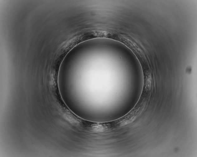 X0000099420616200805091244