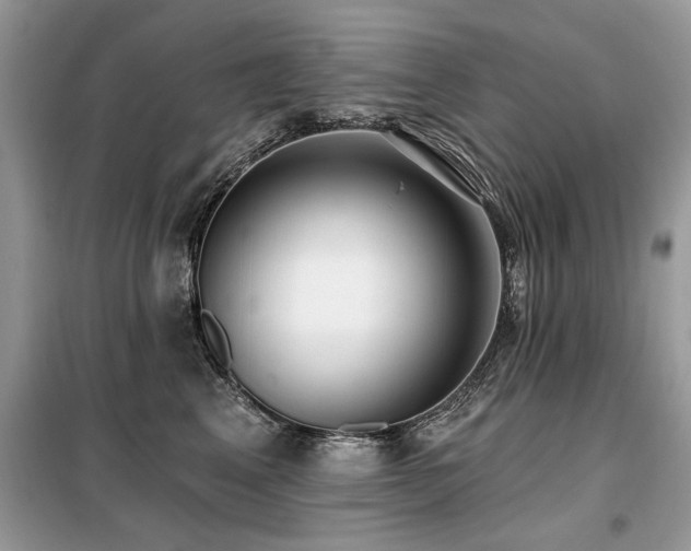 X0000099420617200805091244