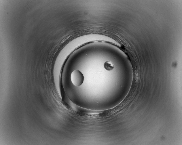 X0000099420618200805091244