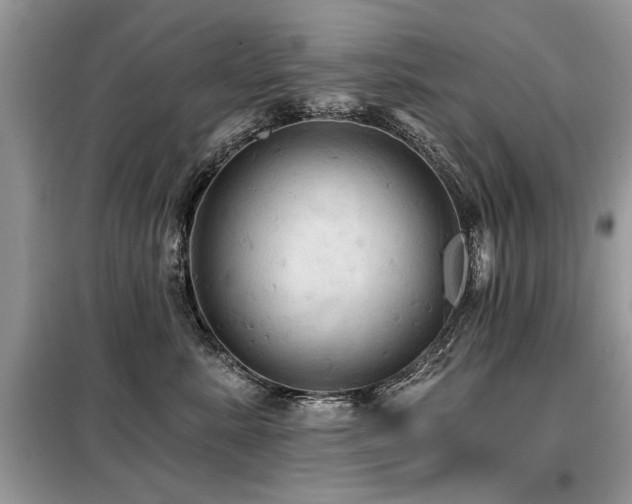 X0000099420619200805091244