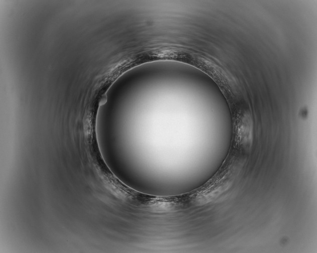 X0000099420620200805091244