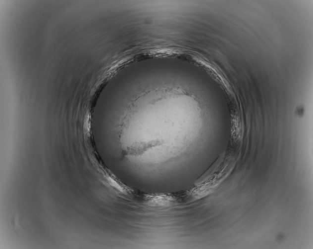 X0000099420621200805091244