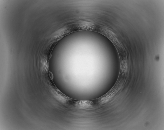 X0000099420622200805091244