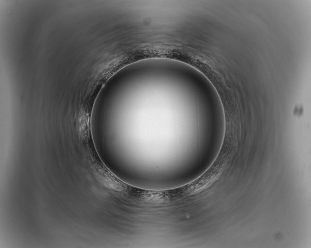 X0000099420624200805091244