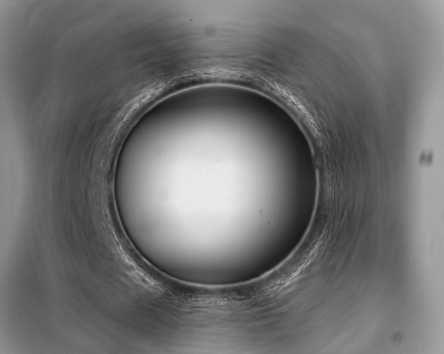 X0000099420625200805091243