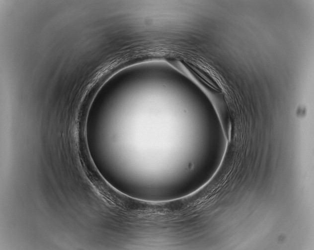 X0000099420626200805091243