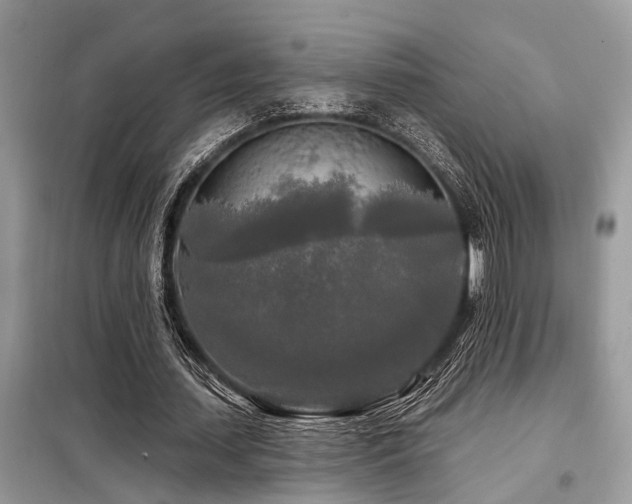 X0000099420627200805091243