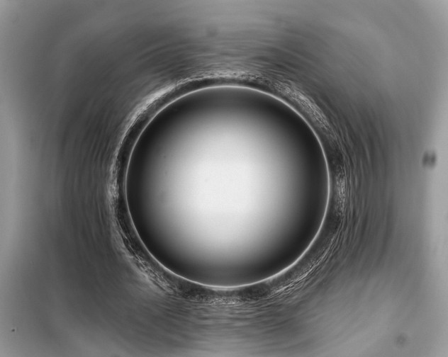 X0000099420628200805091243