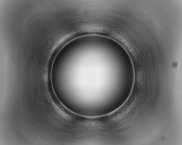 X0000099420629200805091243