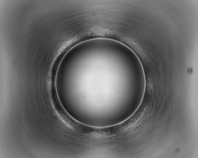 X0000099420630200805091243