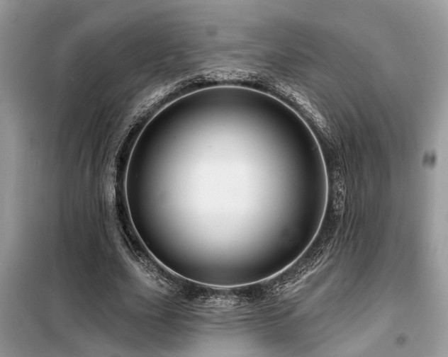 X0000099420631200805091243