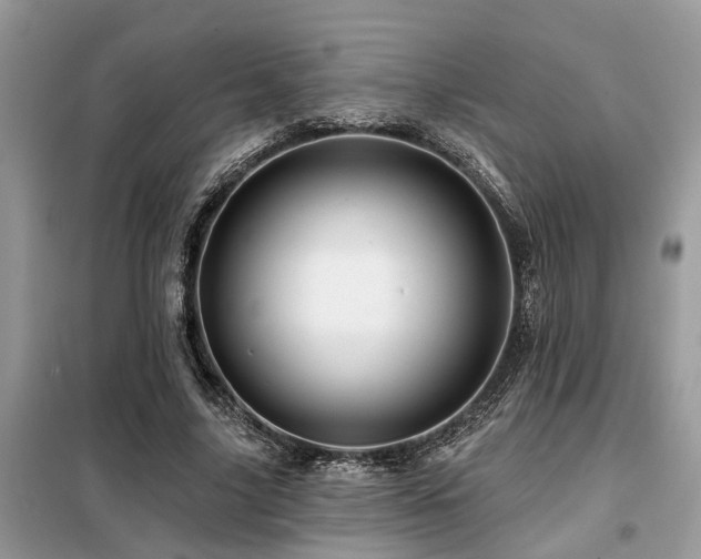 X0000099420635200805091243