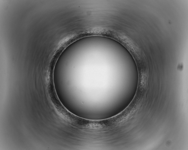 X0000099420636200805091243