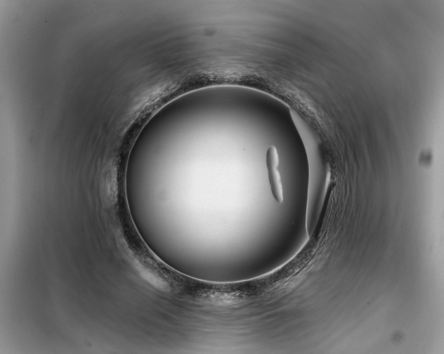 X0000099420638200805091243