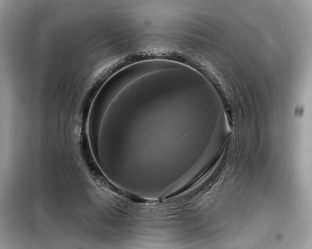 X0000099420640200805091244
