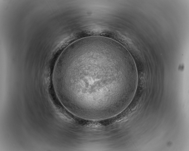 X0000099420642200805091244