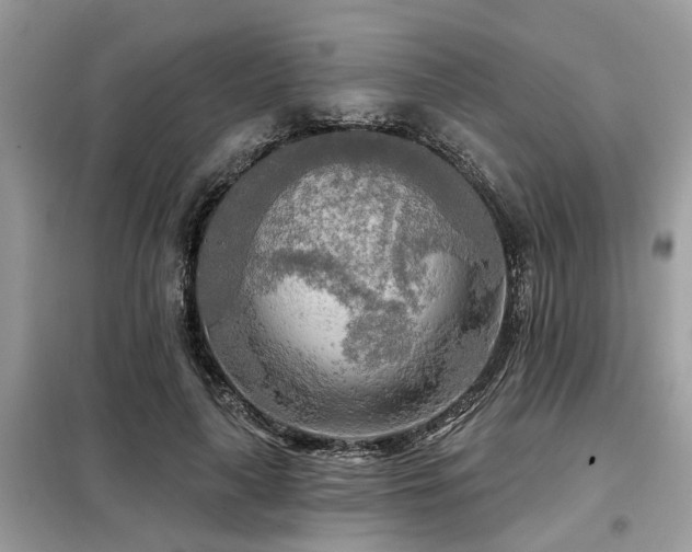 X0000099420643200805091244