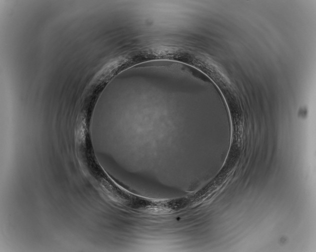 X0000099420644200805091244