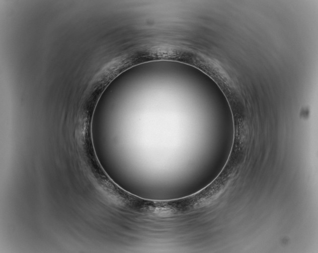 X0000099420645200805091244