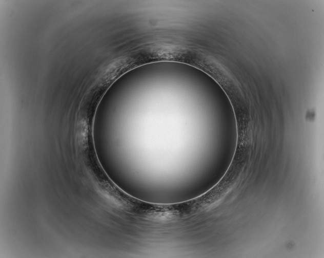 X0000099420646200805091244