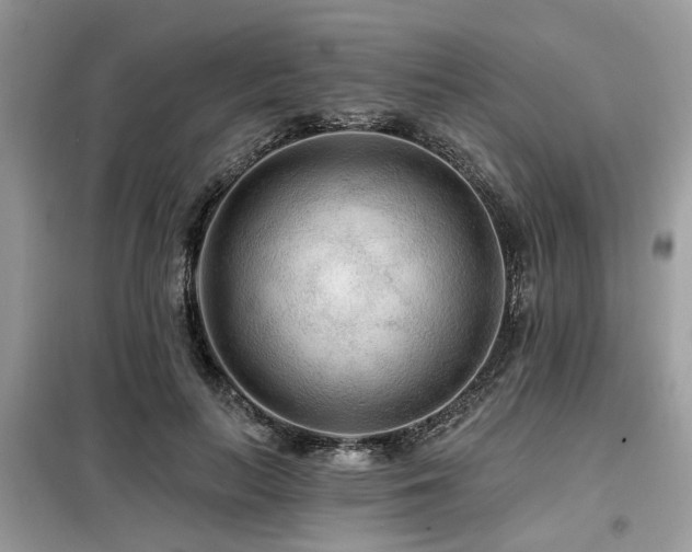 X0000099420647200805091244