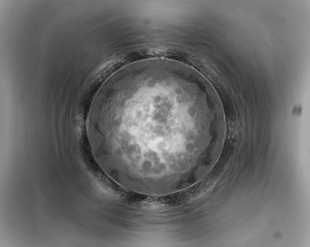 X0000099420648200805091244