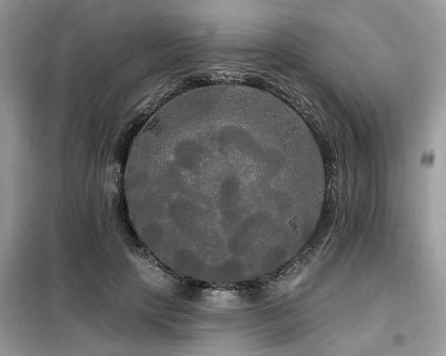 X0000099420649200805091244