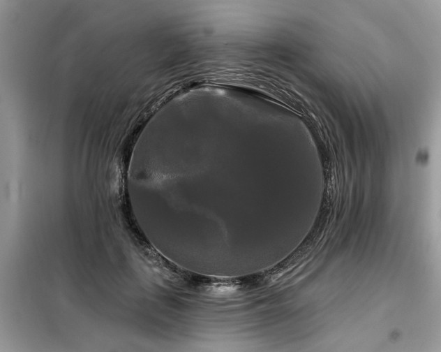 X0000099420651200805091244