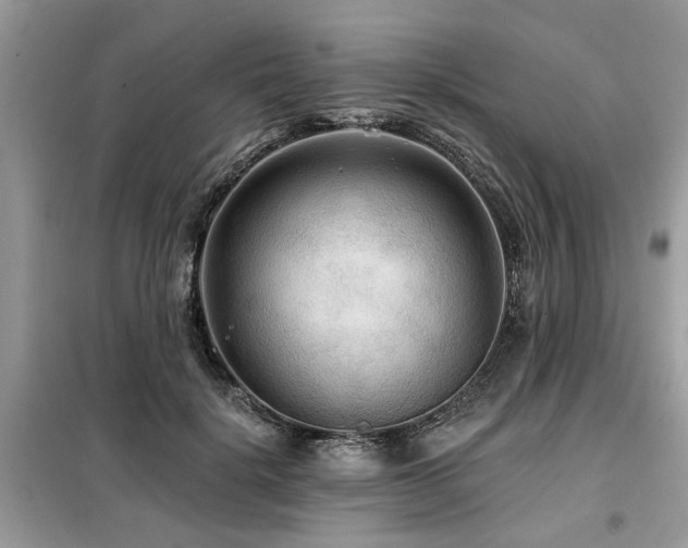 X0000099420652200805091244