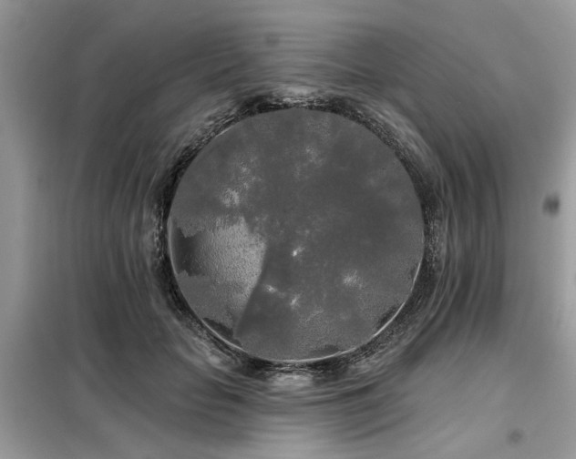 X0000099420653200805091244